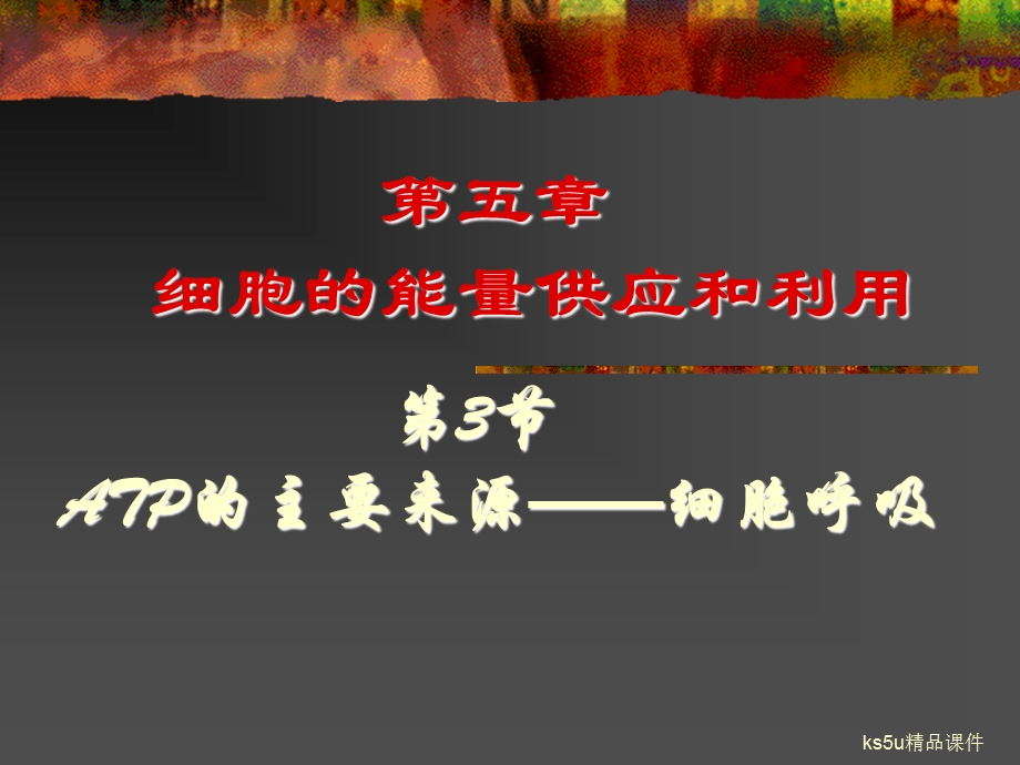 ATP的主要来源.ppt_第1页