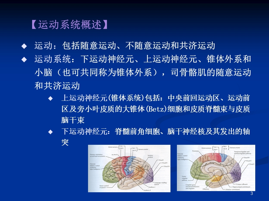 《CNS定位》PPT课件.ppt_第3页