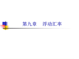 《浮动汇率》PPT课件.ppt