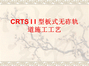 crtsii型板式无砟轨道施工培训讲解.ppt