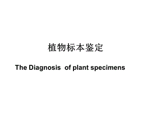 《植物标本鉴定》PPT课件.ppt