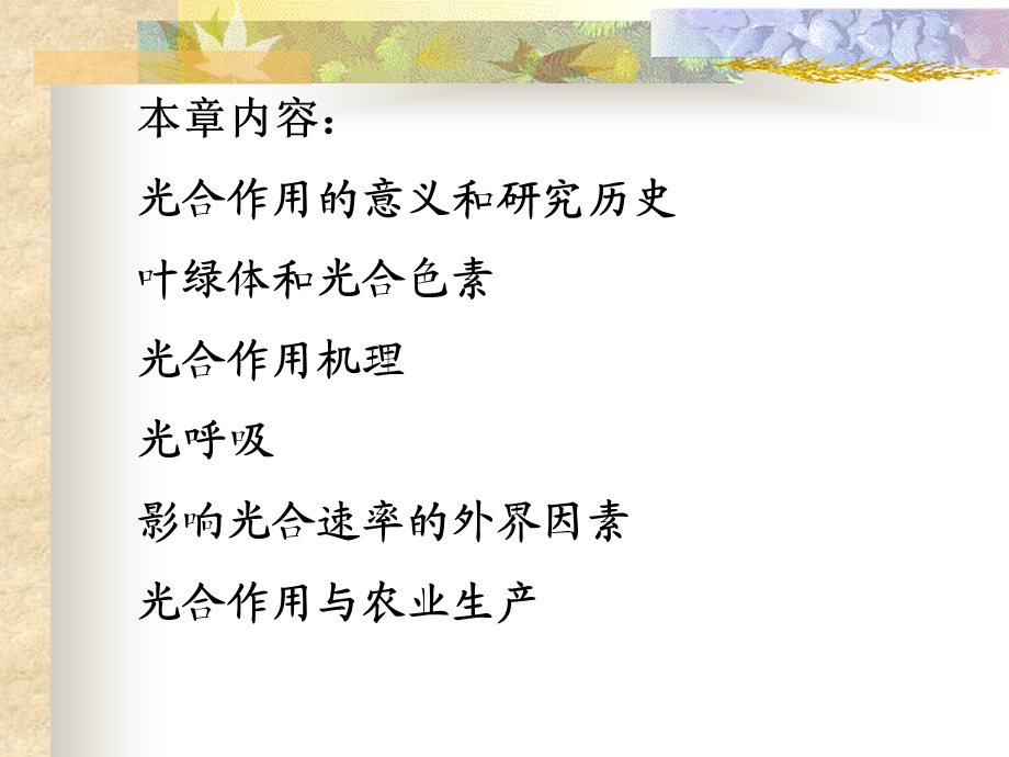 《植物的光合作用》PPT课件.ppt_第2页