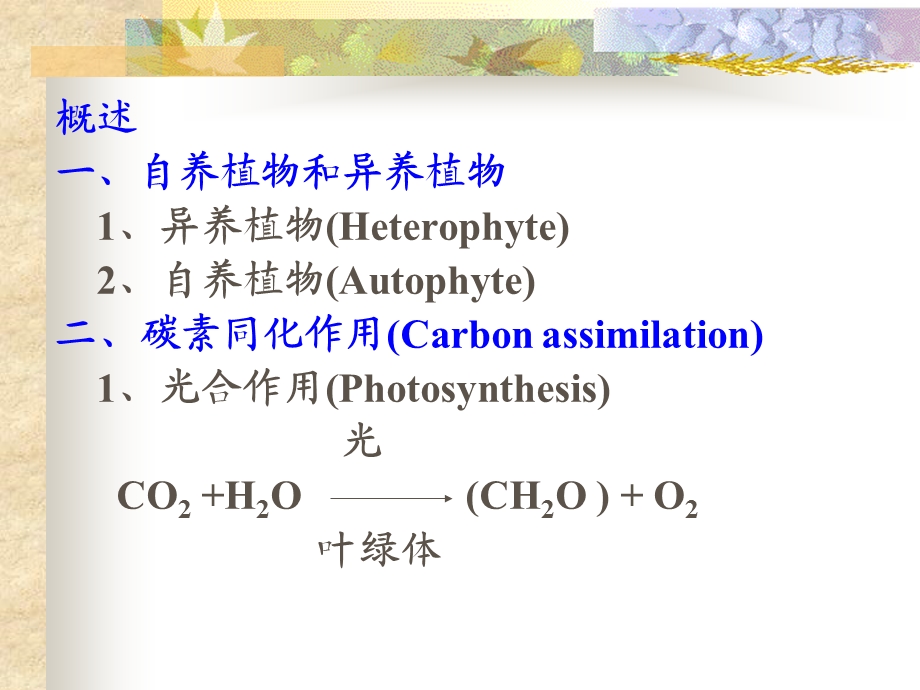 《植物的光合作用》PPT课件.ppt_第3页