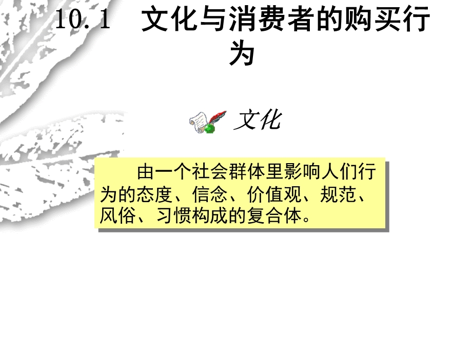 《文化与消费者行为》PPT课件.ppt_第3页