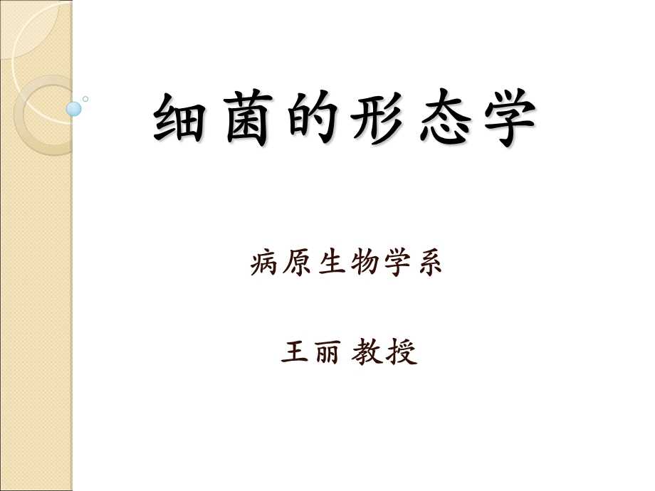 《细菌的形态学》PPT课件.ppt_第3页