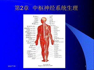 《中枢神经总论》PPT课件.ppt