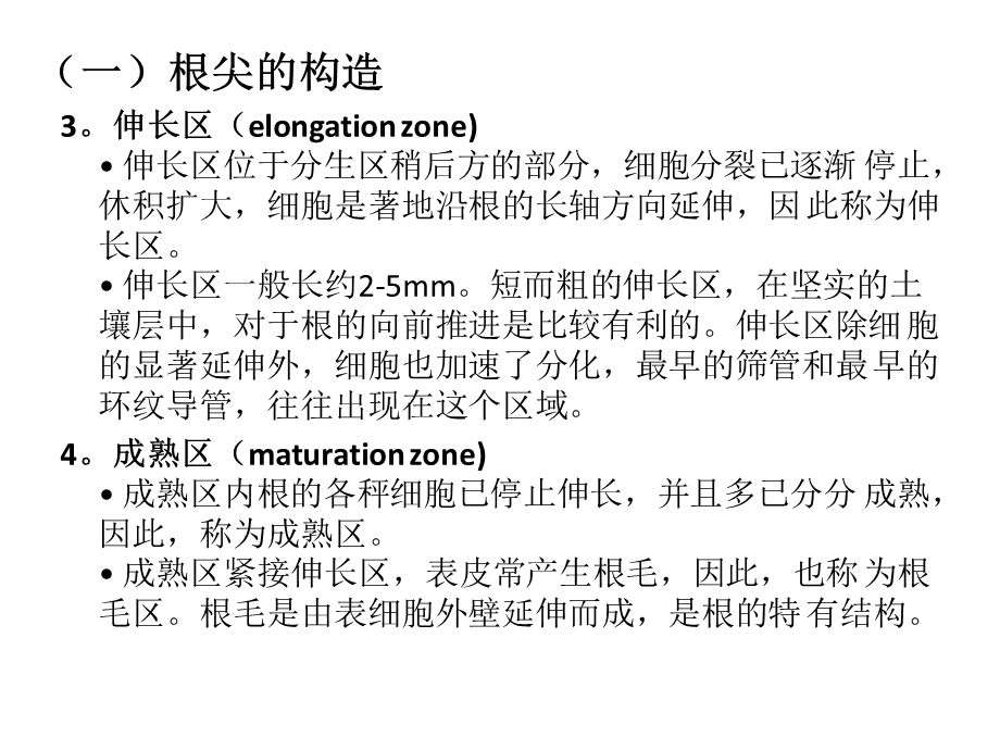 《根的内部构造》PPT课件.ppt_第3页