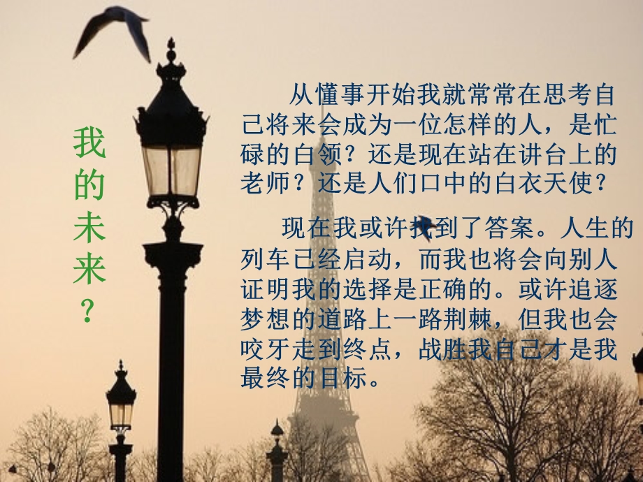 《职业生涯幻游》PPT课件.ppt_第3页