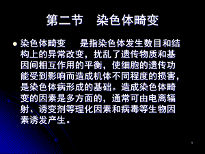 《染色体畸变》PPT课件.ppt