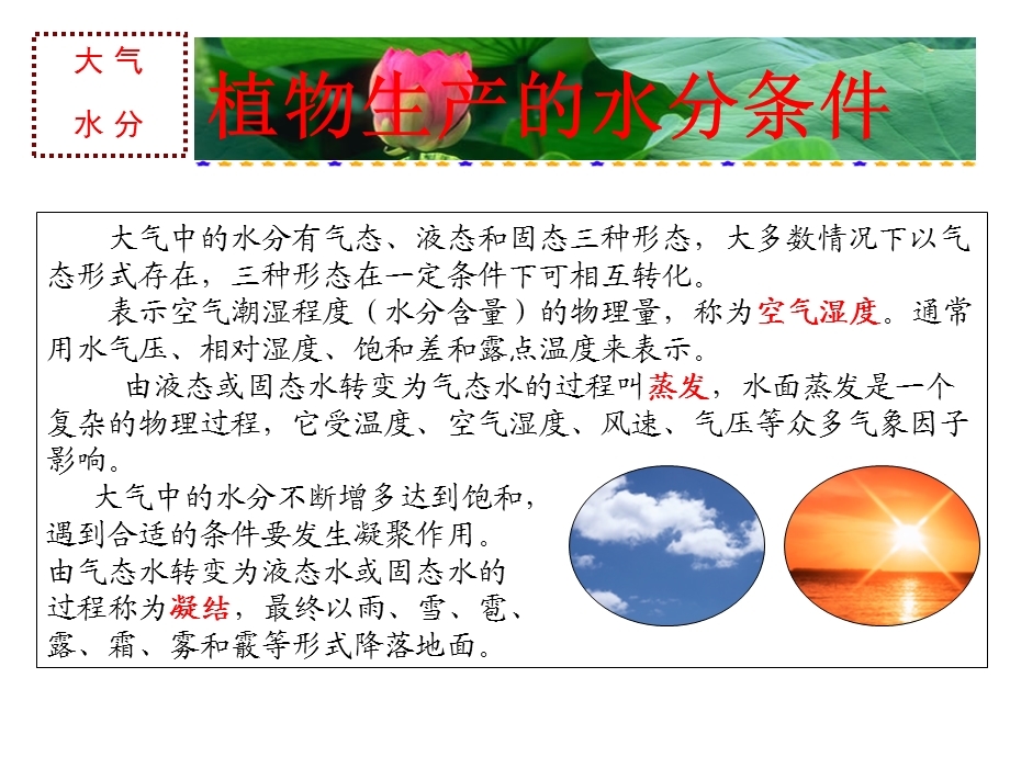 植物生产与科学用水.ppt_第2页