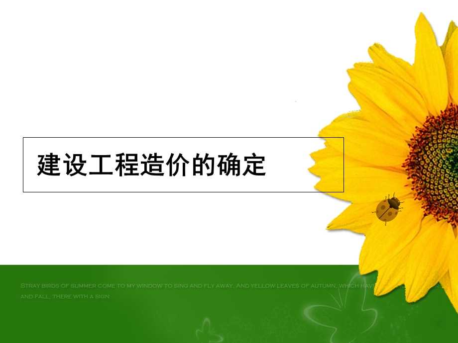 《投资预算确定》PPT课件.ppt_第1页