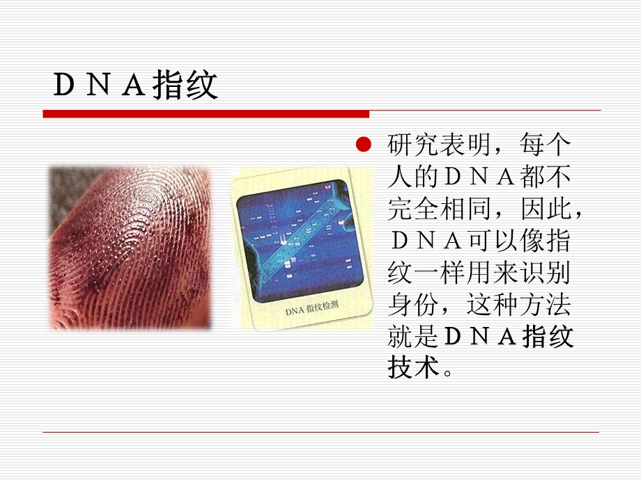 组成细胞的分子课件.ppt_第2页