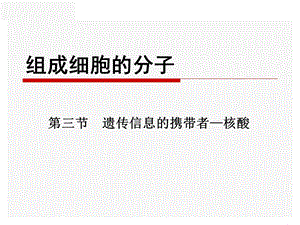 组成细胞的分子课件.ppt