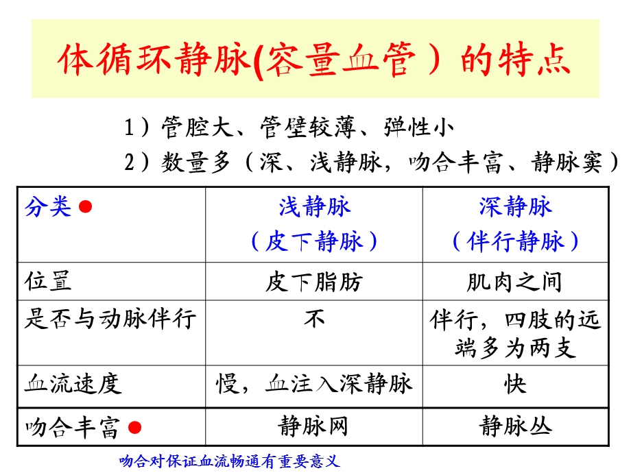 用静脉血管.ppt_第2页