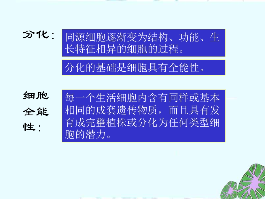 《植物学组织》PPT课件.ppt_第3页