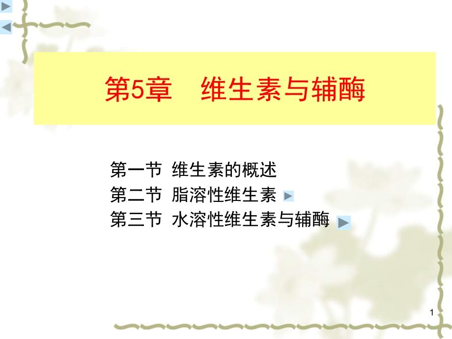 《维生素与辅酶》PPT课件.ppt_第1页