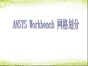 ANSYSWorkbench网格划分.ppt