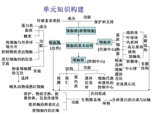 《细胞的结构基础》PPT课件.ppt