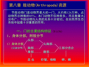 《肢动物资源》PPT课件.ppt