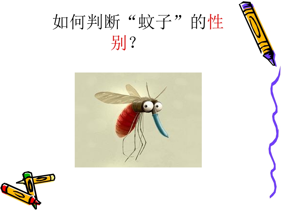 夏预防传染病登革热 ppt课件.ppt_第1页