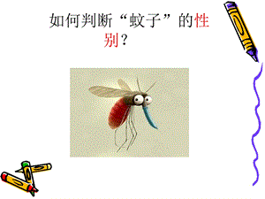 夏预防传染病登革热 ppt课件.ppt