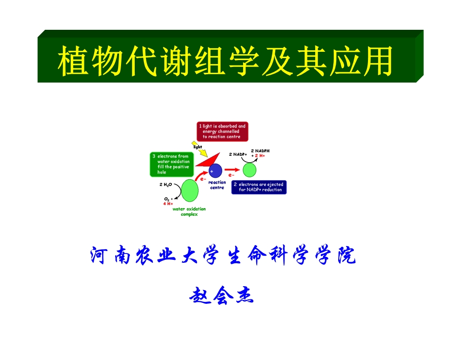 《植物代谢组学》PPT课件.ppt_第1页