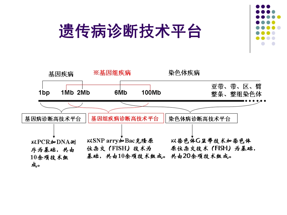 《排单基因病》PPT课件.ppt_第2页