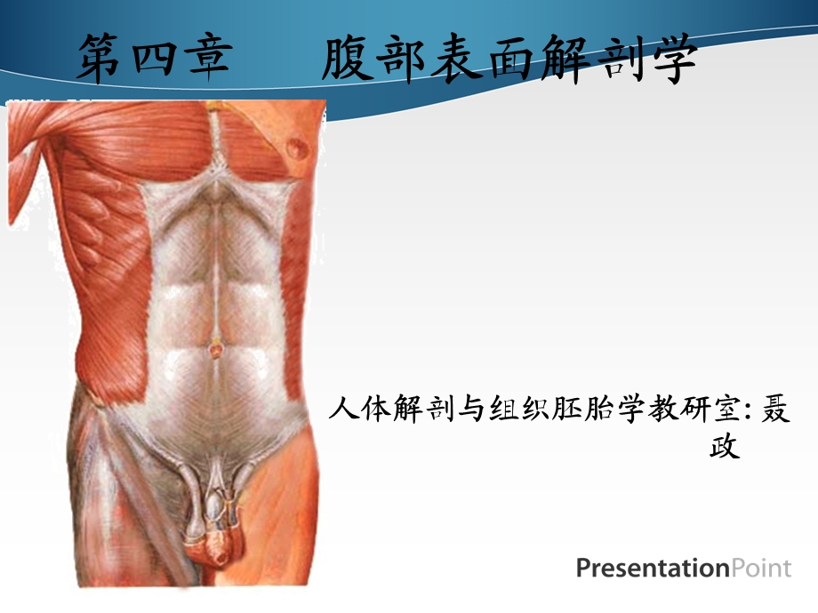 《腹部表面解剖》PPT课件.ppt_第1页