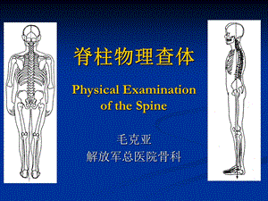 《脊柱物理查体》PPT课件.ppt