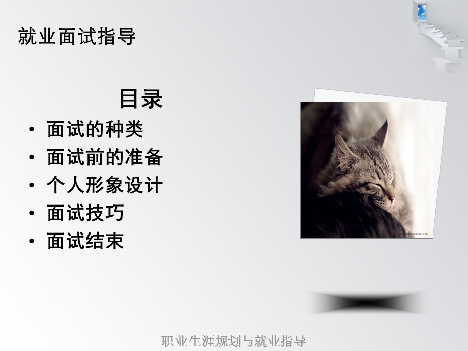 《求职面试指导》PPT课件.ppt_第2页