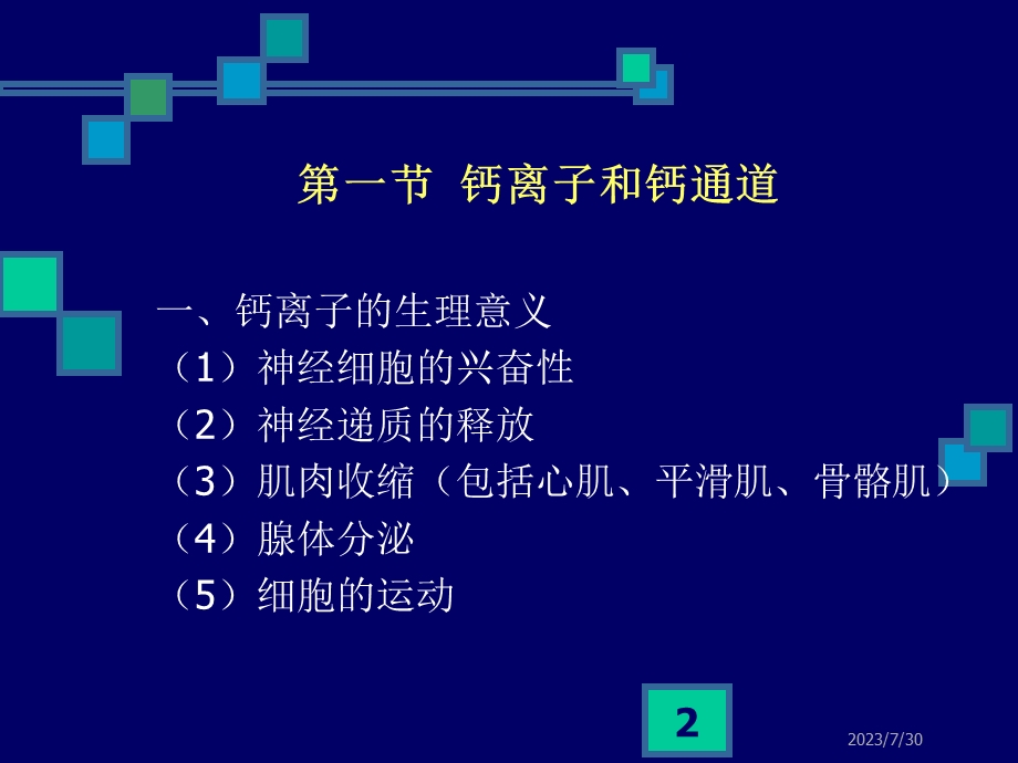 药理学——第10章肾上腺素受体激动药.ppt_第2页