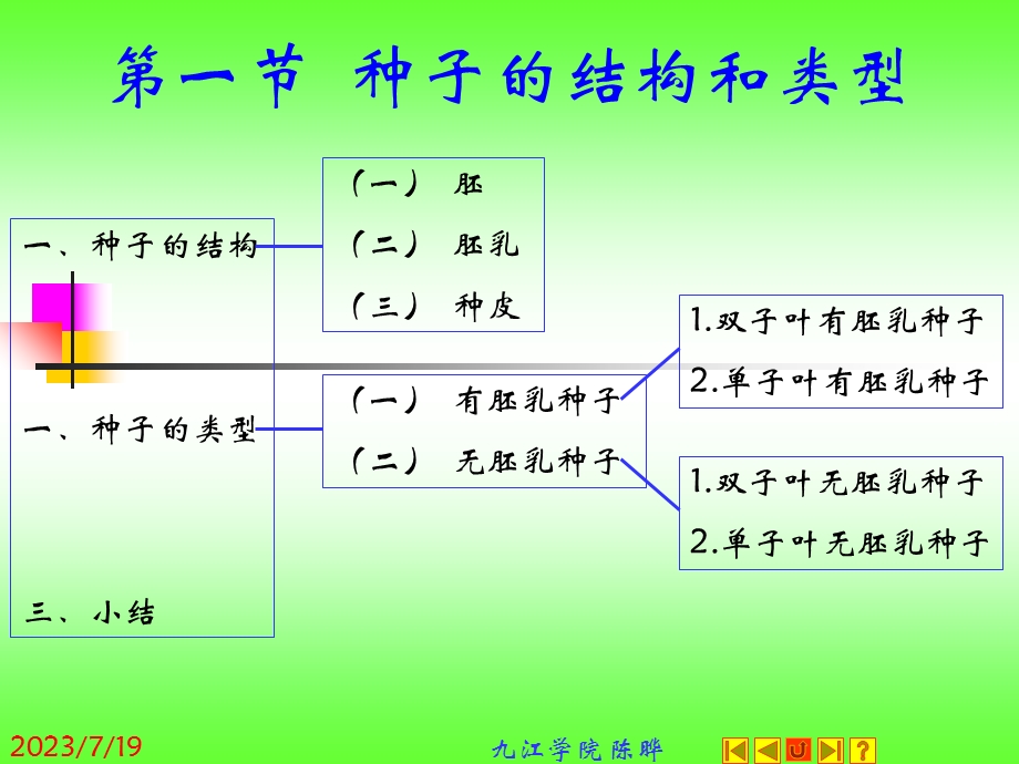 《植物形态学》PPT课件.ppt_第2页