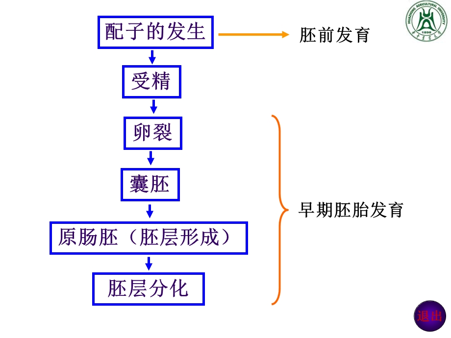 《普通胚胎学》PPT课件.ppt_第3页