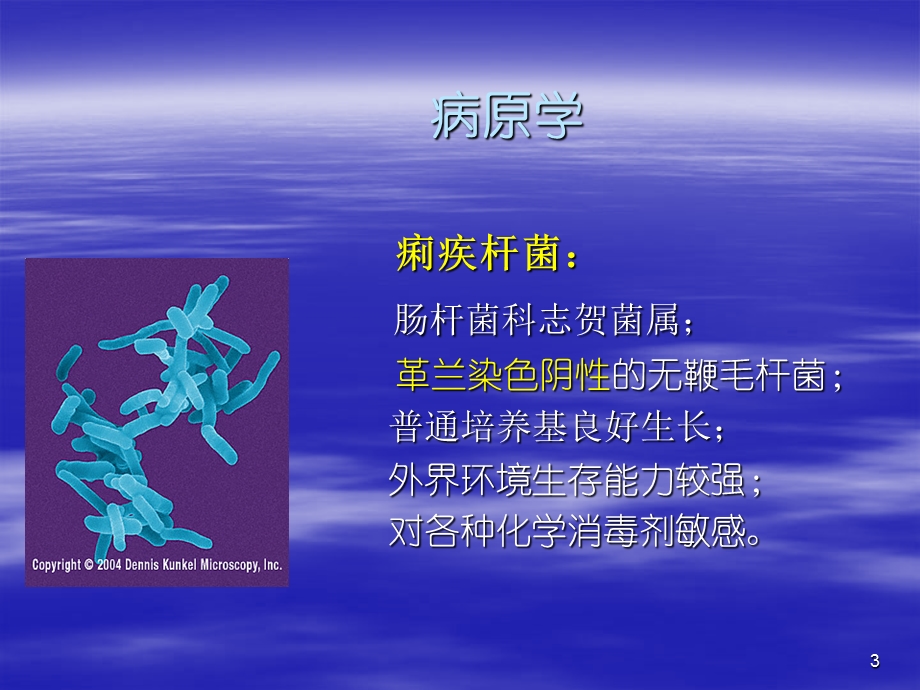 《细菌性痢疾周》PPT课件.ppt_第3页