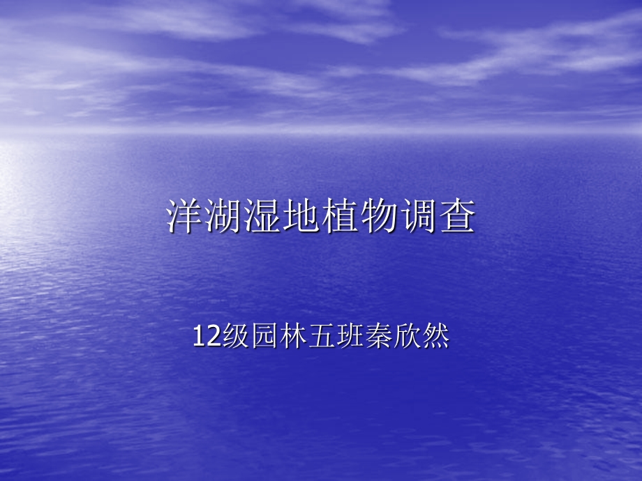 《洋湖湿地植物调查》PPT课件.ppt_第1页