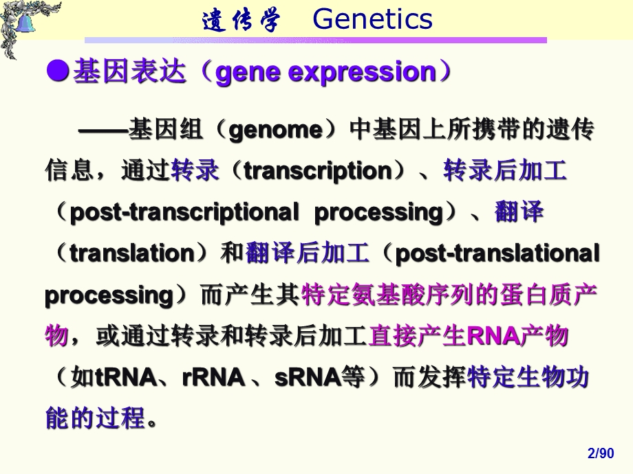 《基因表达》PPT课件.ppt_第2页