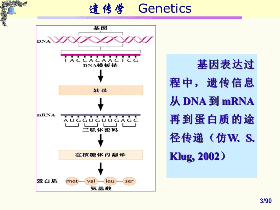 《基因表达》PPT课件.ppt_第3页