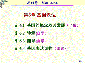 《基因表达》PPT课件.ppt