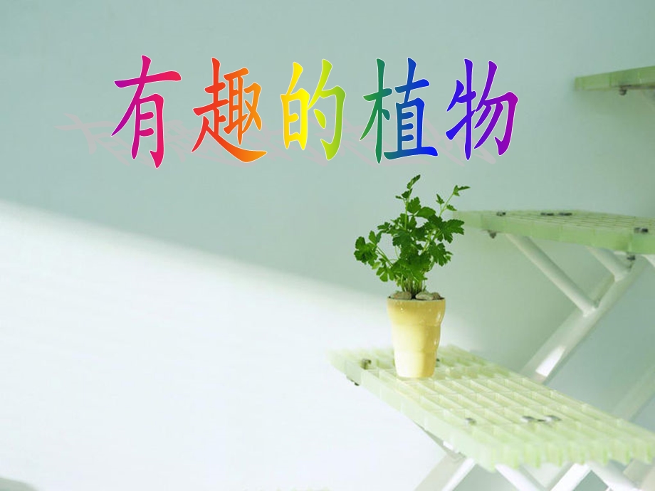 《有趣的植物》PPT课件.ppt_第1页