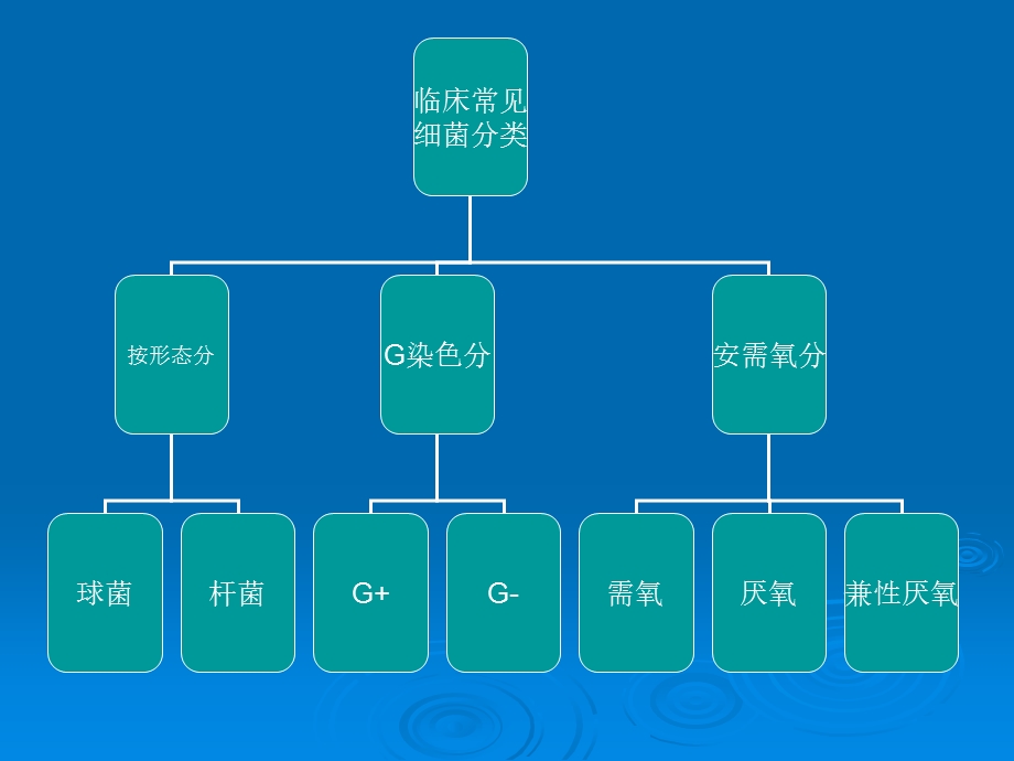 《抗菌药物应用》PPT课件.ppt_第2页