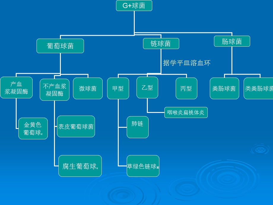 《抗菌药物应用》PPT课件.ppt_第3页