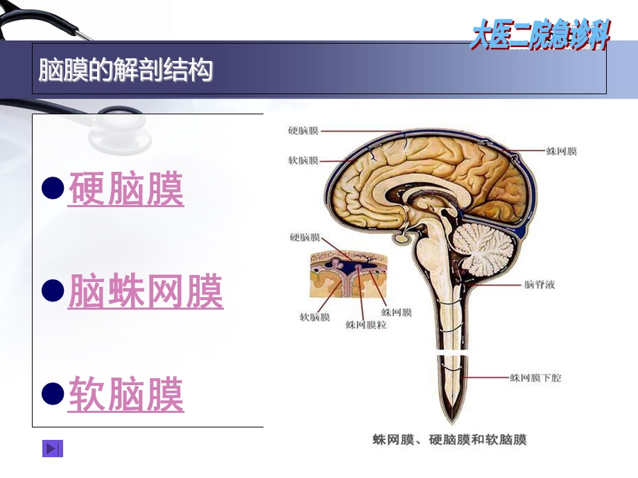 《脑膜的解剖结构》PPT课件.ppt_第3页