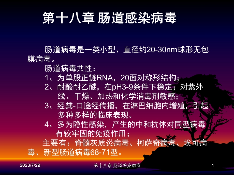 《肠道感染病毒》PPT课件.ppt_第1页