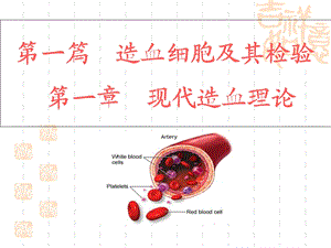 《现代造血理论》PPT课件.ppt