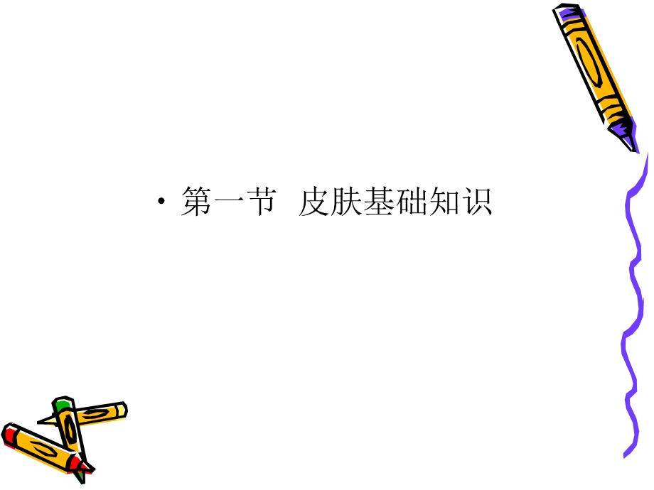 《皮肤基础知识》PPT课件.ppt_第1页