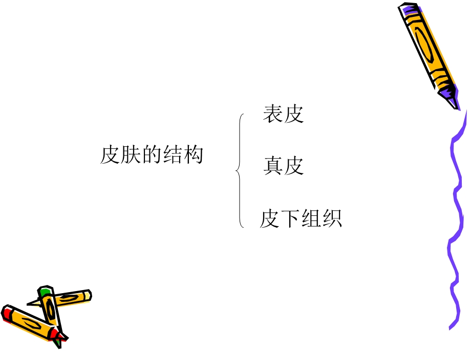 《皮肤基础知识》PPT课件.ppt_第3页