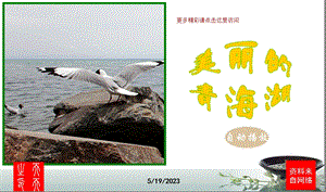 《美丽的青海湖》PPT课件.ppt