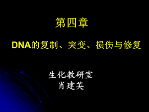 《生化教研室》PPT课件.ppt