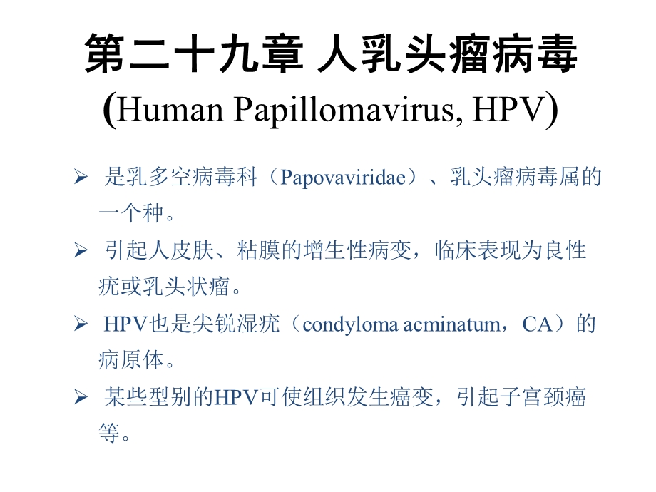 《细胞朊蛋白》PPT课件.ppt_第1页