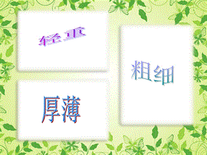 《比较轻重粗细》PPT课件.ppt